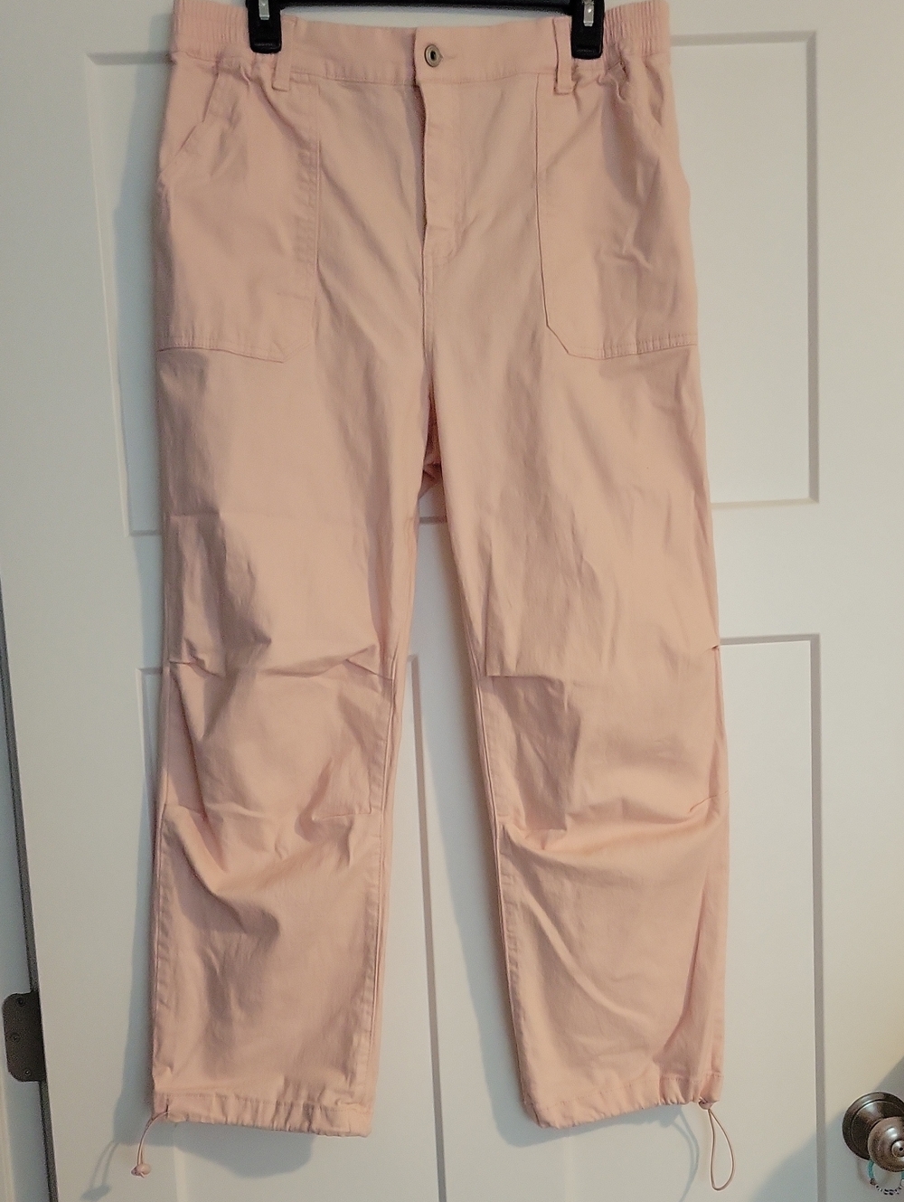 Celebrity Pink pale pink Parachute Pants